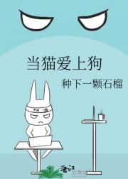当猫爱上狗