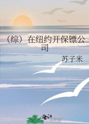 （综）在纽约开保镖公司