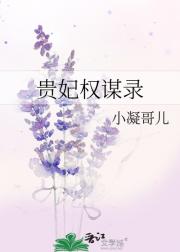 贵妃权谋录