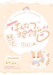 佳人们，捡个猫!