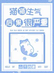 猫猫生气，后果很严重