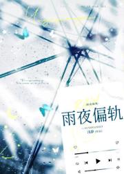 雨夜偏轨[先婚后爱]