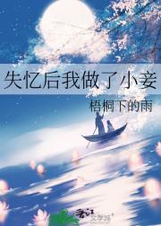 失忆后我做了小妾