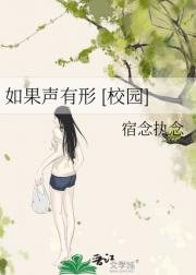如果声有形