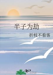 半子为劫