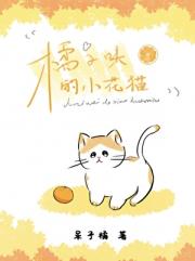橘子味的小花猫