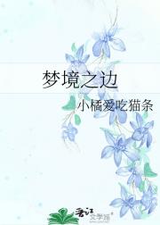梦境之边