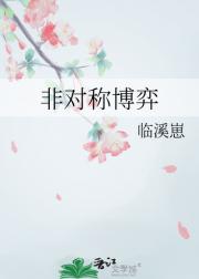 非对称博弈