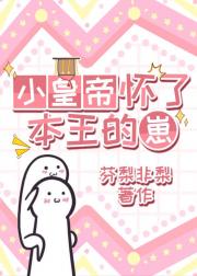 小皇帝怀了本王的崽