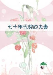 七十年代契约夫妻