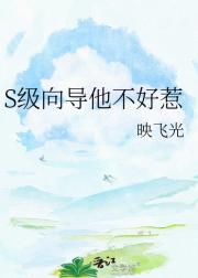 S级向导他不好惹