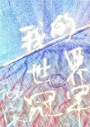 我的世界冠军