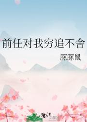 前任对我穷追不舍