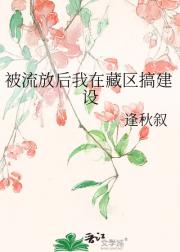 被流放后我在藏区搞建设
