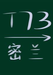 T73  终到站密兰