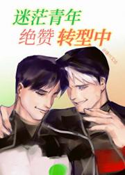 [综英美]赛博回声恋人