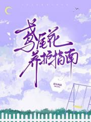 鸢尾花养护指南