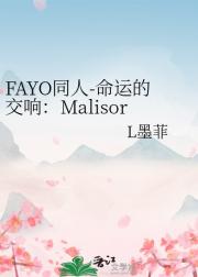 FAYO同人-命运的交响：Malisor