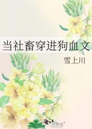 当社畜穿进狗血文