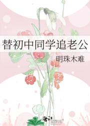 永不停歇的夏日