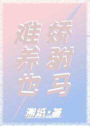 娇驸马难养也