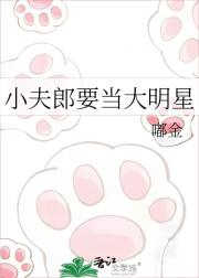 小夫郎要当大明星