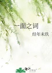 一面之词