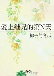 爱上继兄的第N天