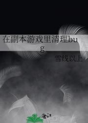 在副本游戏里清理bug