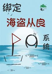 绑定海盗从良系统