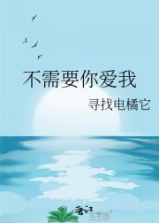 不需要你爱我