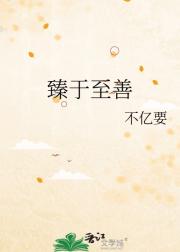 臻于至善