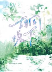 胡同槐下