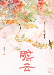 瞻云