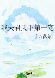 我夫君天下第一宠