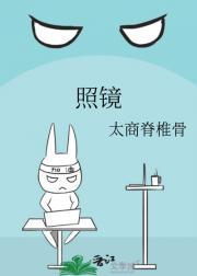 照镜
