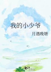 我的小少爷