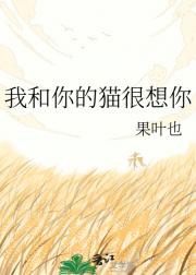 我和你的猫很想你