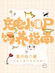 充电小僵尸饲养指南