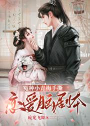 冤种大师姐手撕炮灰剧本