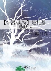 【综漫/奥特】是扎基桑哒～