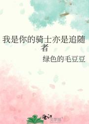 我是你的骑士亦是追随者