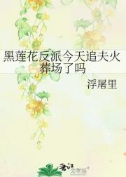 黑莲花反派今天追夫火葬场了吗