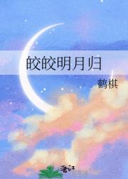 皎皎明月归