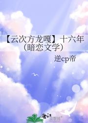 【云次方龙嘎】十六年（暗恋文学，偏龙视角