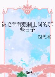 被毛茸茸强制上岗的那些日子