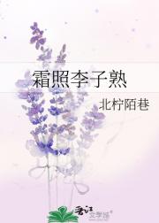 霜照李子熟