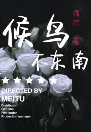 候鸟不东南