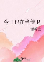 今日也在当侍卫