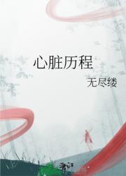 心脏历程